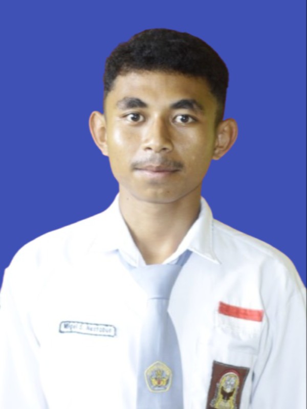 MIGEL SALGADO NESTABUN