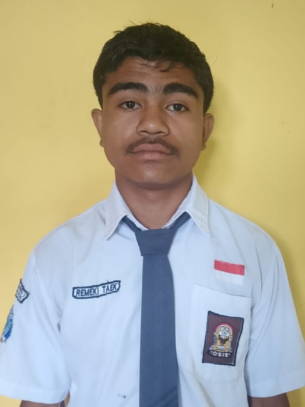 REMEKI TAEK